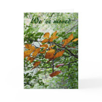 Autumn begins we´ve moved card