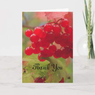 Autumn Berries Card card