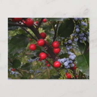 Autumn berries ~ postcard postcard