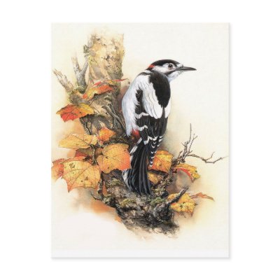 Autumn Bird Postcard by Memory_Lane