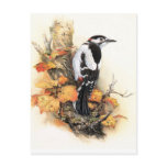 Autumn Bird Postcard