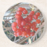 Autumn Bliss - Coaster / Untersetzer