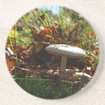 Autumn Bliss - Coaster / Untersetzer