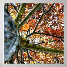 Autumn Bliss Posters