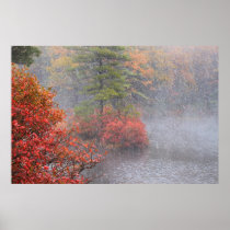 Autumn Blizzard Print