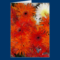AUTUMN BLOOMS cards
