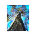 Autumn Blue posters
