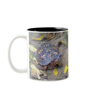 Autumn Box Turtle Coffee Mugs by Nat_Ink