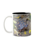 Autumn Box Turtle Coffee Mugs