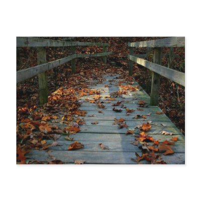 Autumn Bridge Post Cards by AliciaBailey