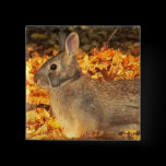Autumn Bunny buttons