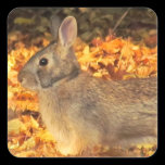 Autumn Bunny stickers