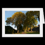Autumn, Bute Park, Cardiff (Bordered) cards