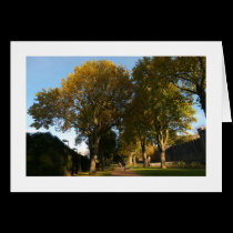 Autumn, Bute Park, Cardiff (Bordered)