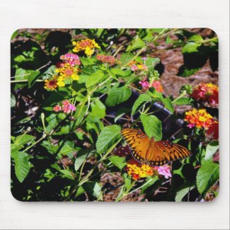 Autumn Butterfly Mouse Pad