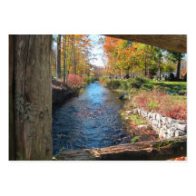 Autumn Canal ~ Chubby Business Card Template