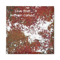 "Autumn Candy" Magnet