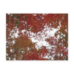 Autumn Candy Postcard