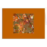 Autumn canopy cards