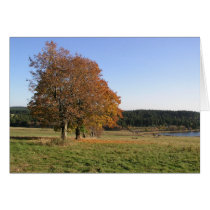 autumn cards
