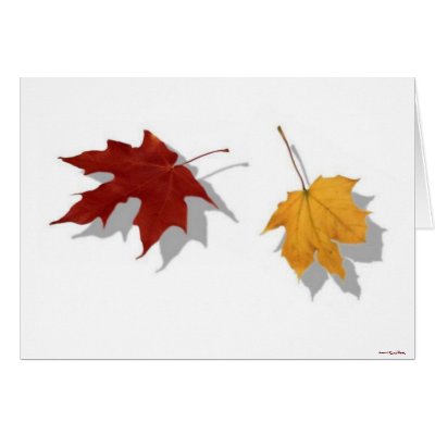 Autumn Card by BuddhanGreetingCards