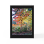 Autumn Greeting Cards