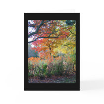 Autumn cards