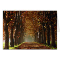 autumn cards