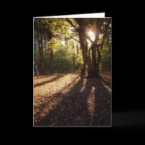 Autumn | cards by celtxian Autumn | cards