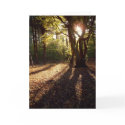 Autumn | cards by celtxian Autumn | cards