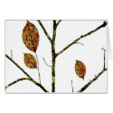 Autumn cards by Zen_Art Autumn cards