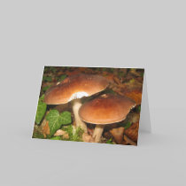 autumn cards