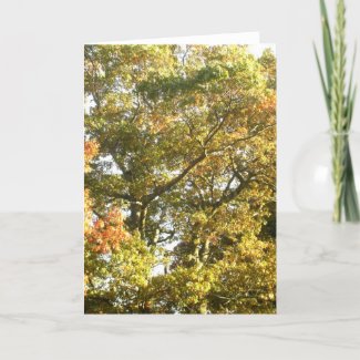 Autumn card 3 card