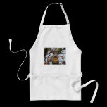 Autumn Cardinal aprons
