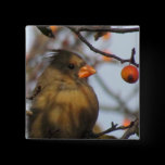 Autumn Cardinal buttons