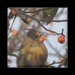 Autumn Cardinal magnets