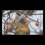 Autumn Cardinal stickers