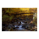 Autumn Cascade    Print