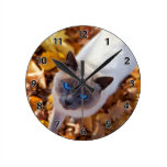 Autumn Cat Round Wall Clock