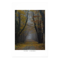 autumn cathedral posters
