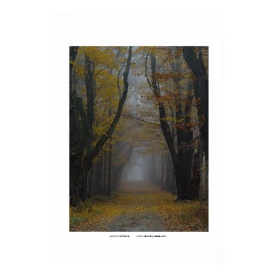 autumn cathedral posters by shinaweh