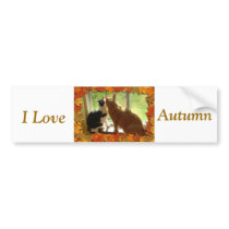Autumn Cats bumper stickers