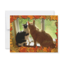 Autumn Cats invitations