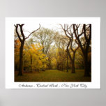 Autumn - Central Park - New York City Posters