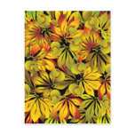 autumn chestnut leaves postcard