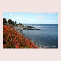 Autumn Coast Print