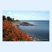 Autumn Coast Print posters
