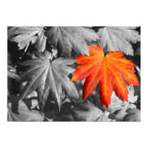 Autumn Color Fine Art Print