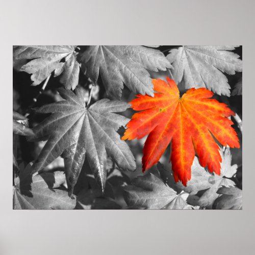 Autumn Color Fine Art Print print