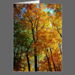 Autumn Color Greeting Card cards